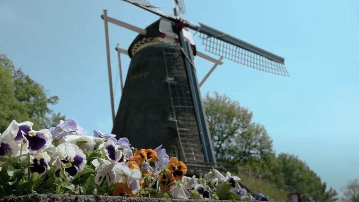 461188 lonnekermolen 1