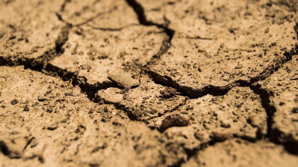 427852 drought 780088 1920 1