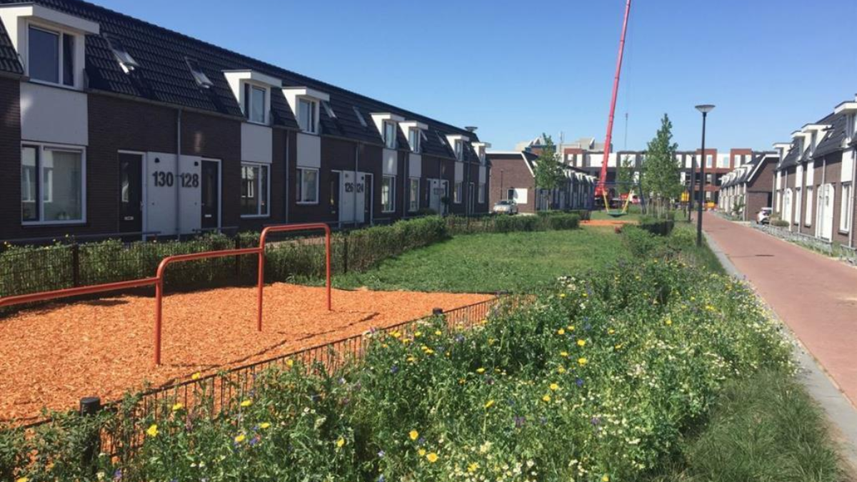 423032 plein