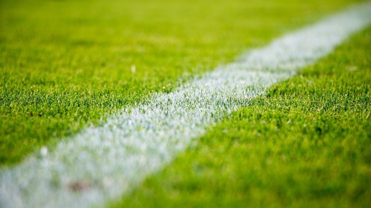 410779 voetbalveld 1