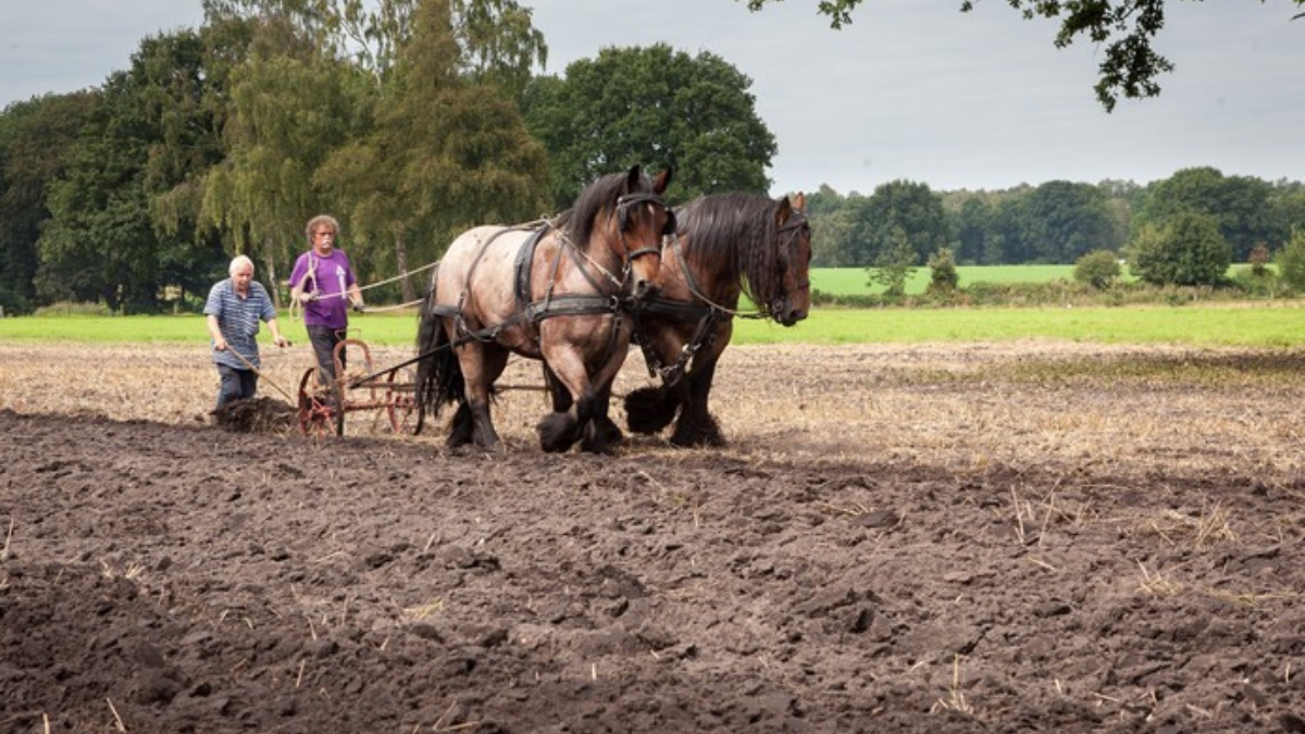 407823 Landgoed Al Goed Lentefair