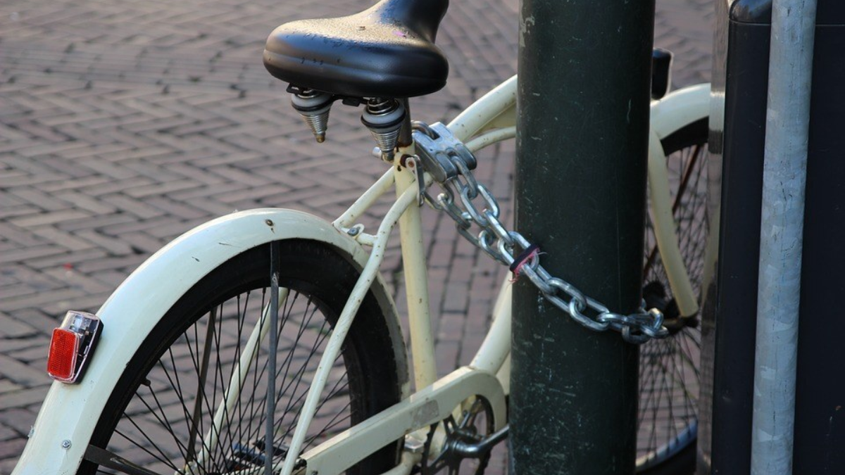 398319 fiets 7