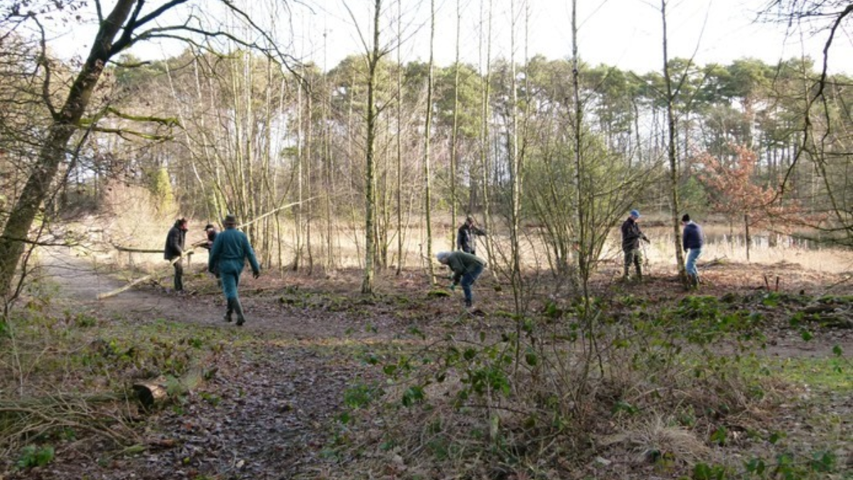 397843 Buursermeertje 1