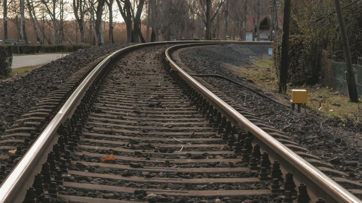 396331 tracks 3942362 1920