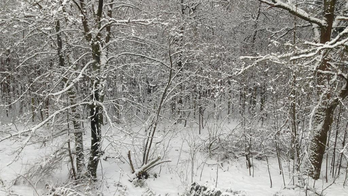 381555 snow 442857 1920