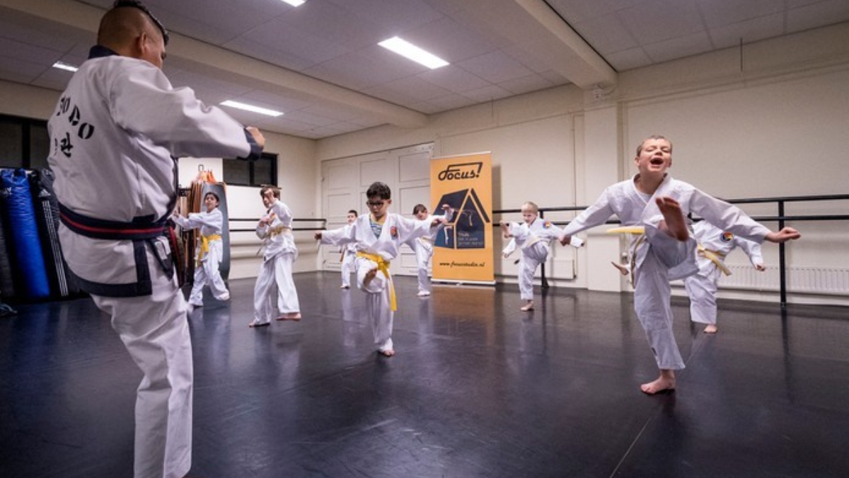 381479 karate