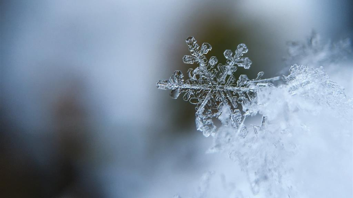 380644 snowflake 1245748 1920 1