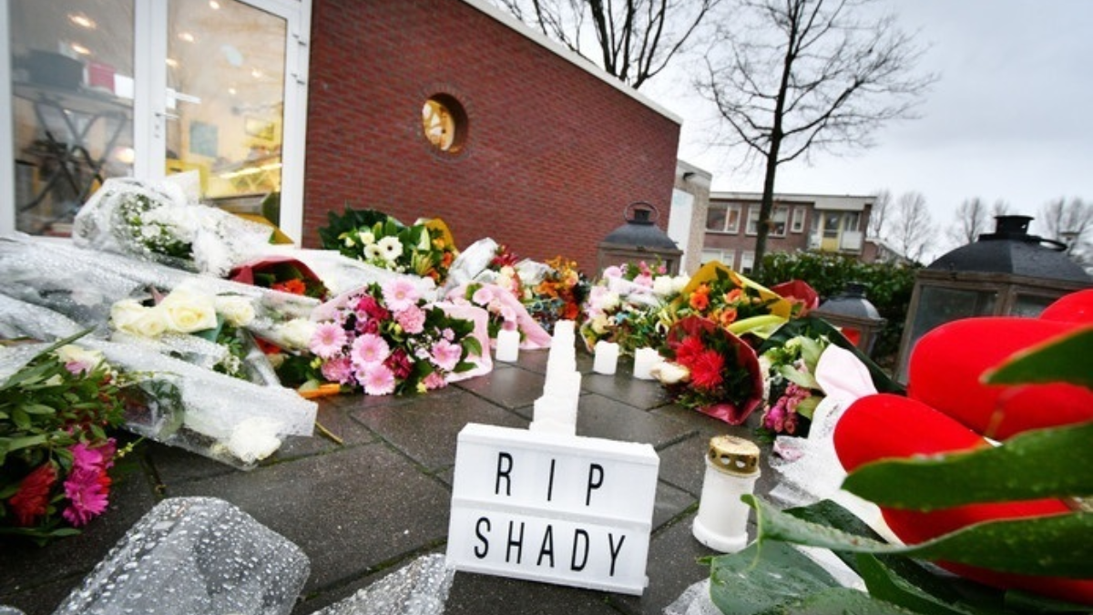 366647 rip shady