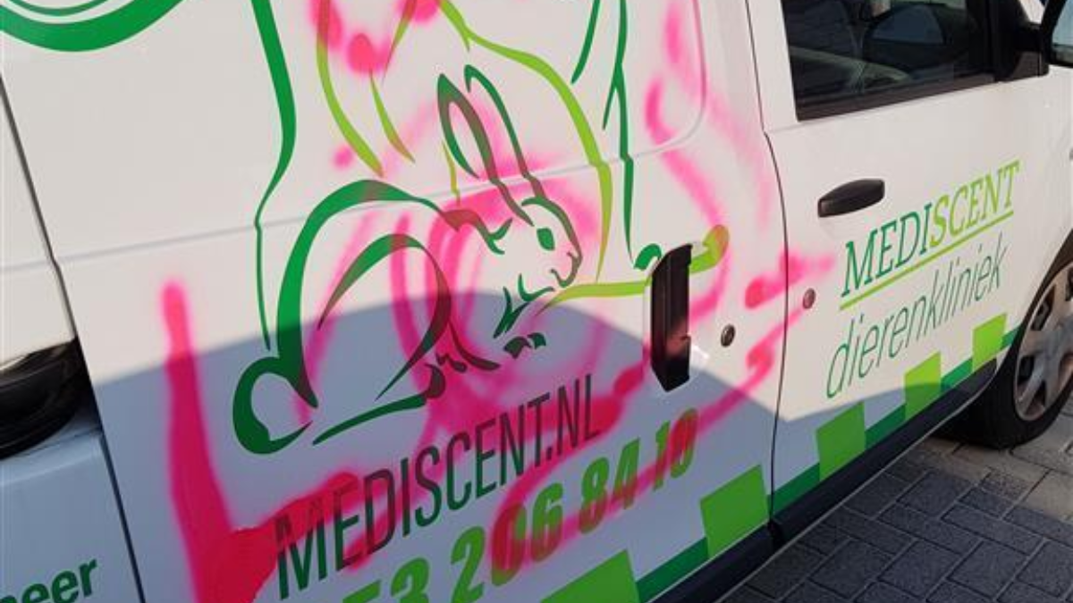 363409 grafiti 1