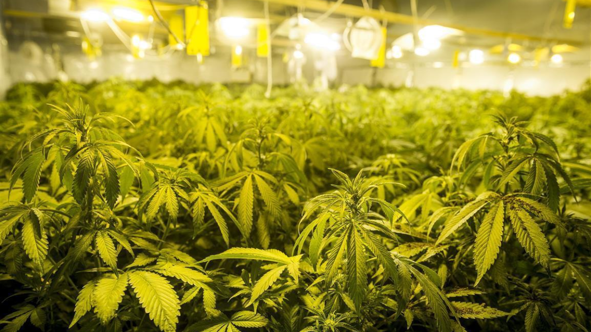 359963 Hennep Emiel 1