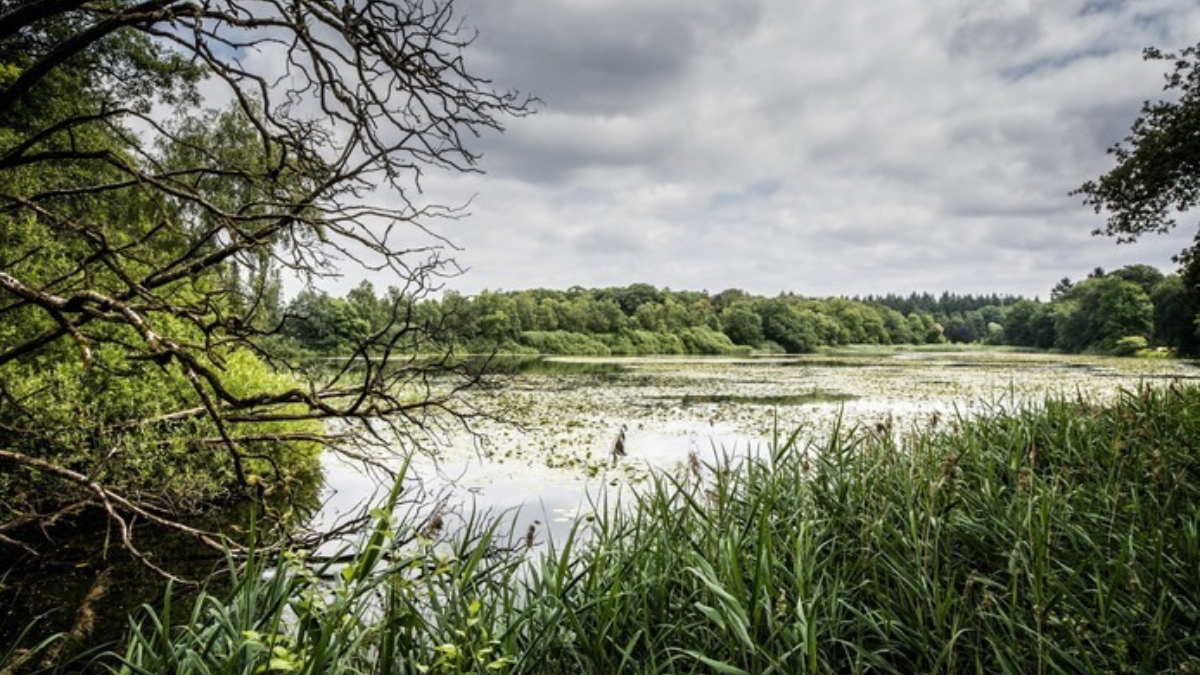 357480 lonnekermeer
