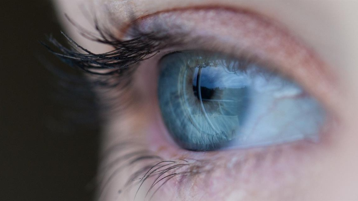 355514 oog