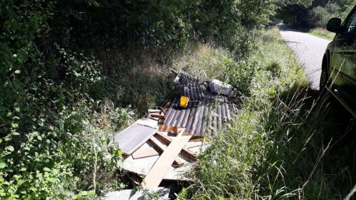 353641 download 10 2