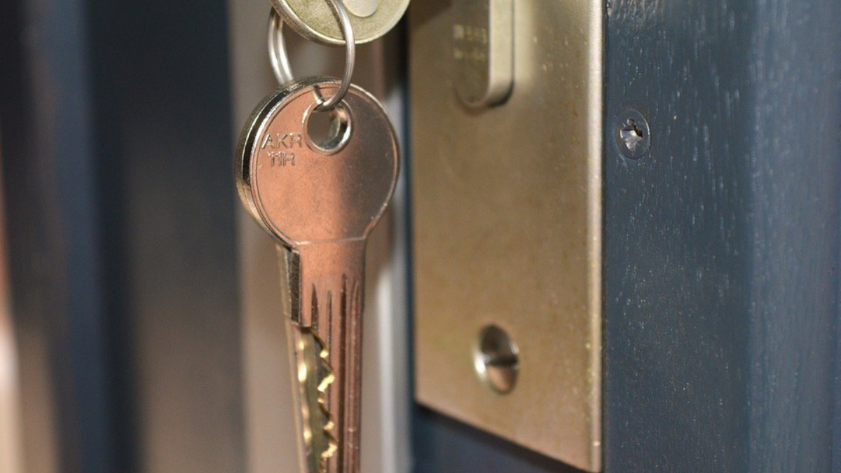 353546 key 779392 960 720