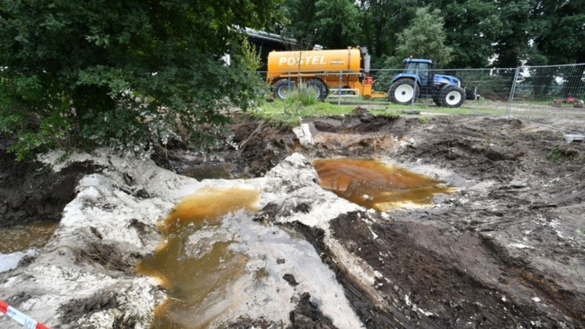 342889 download 25 1