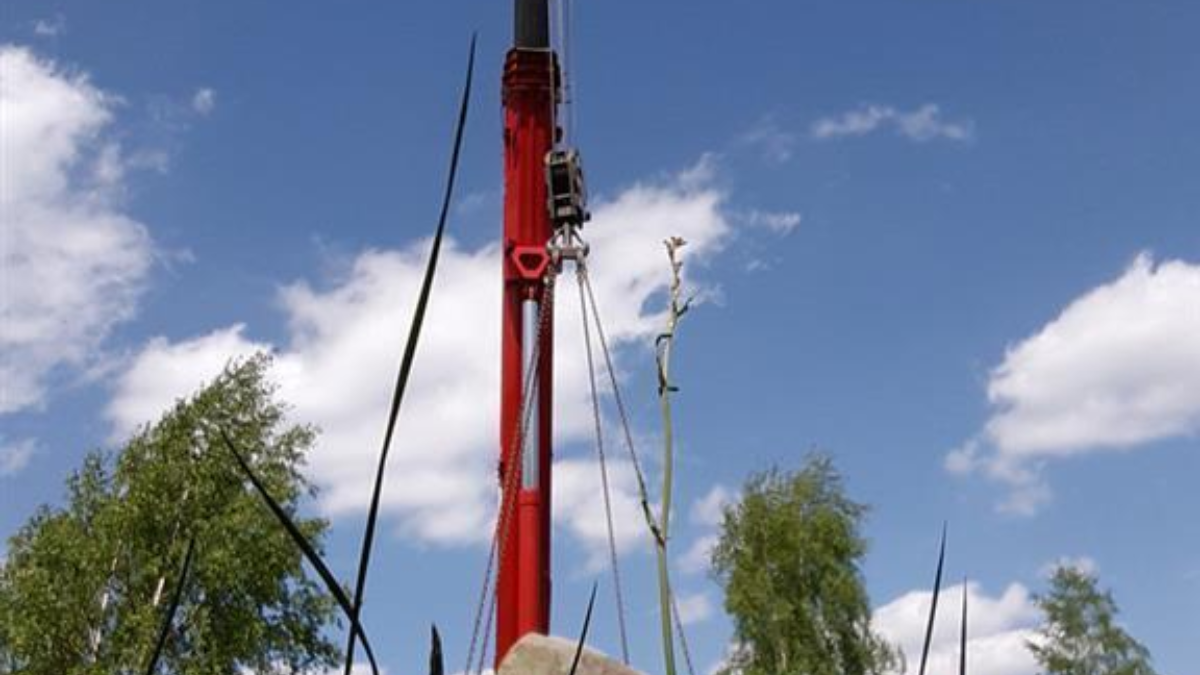 342436 ton