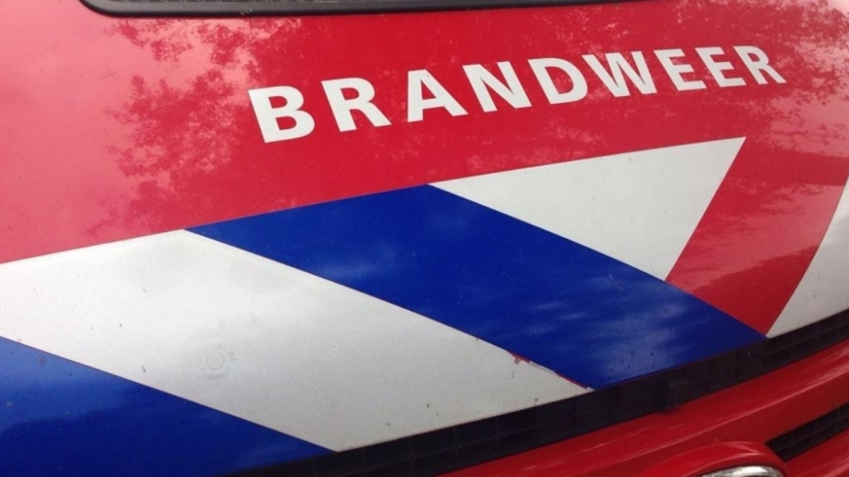 336963 brand 8