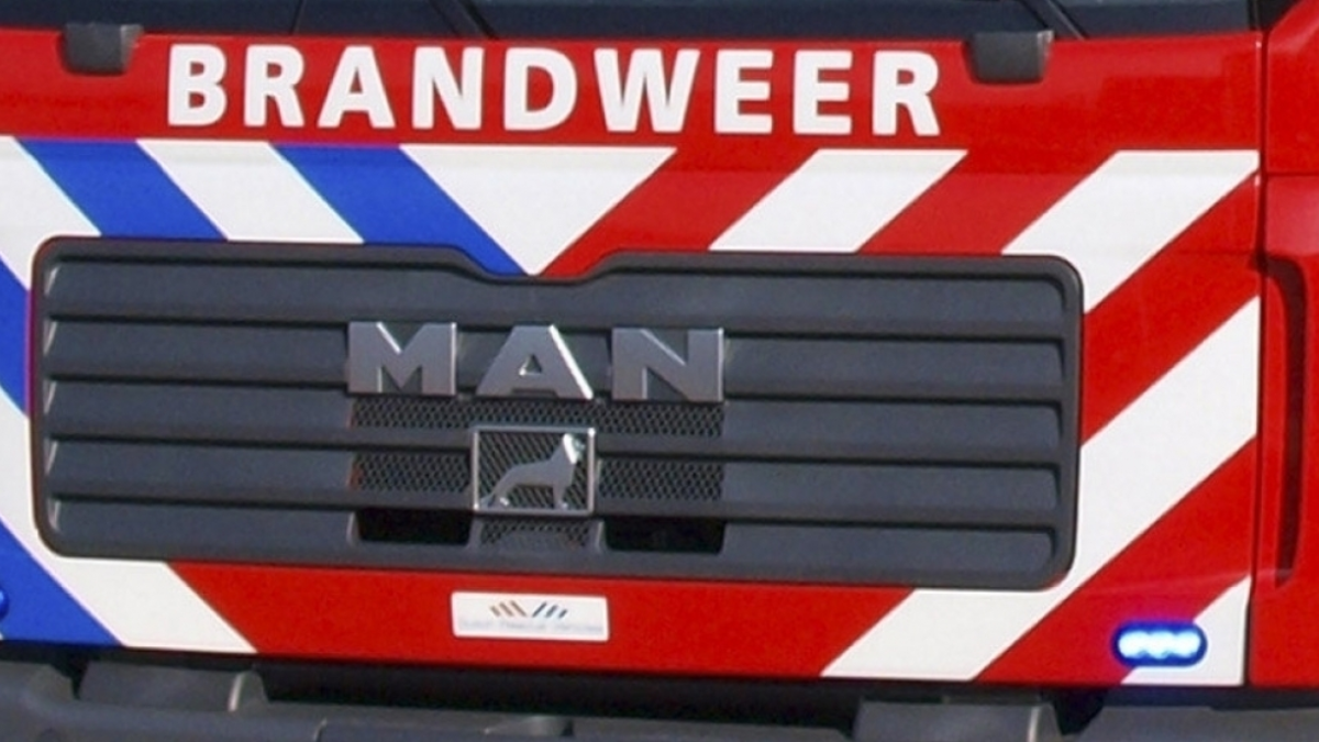 334425 brand1 2