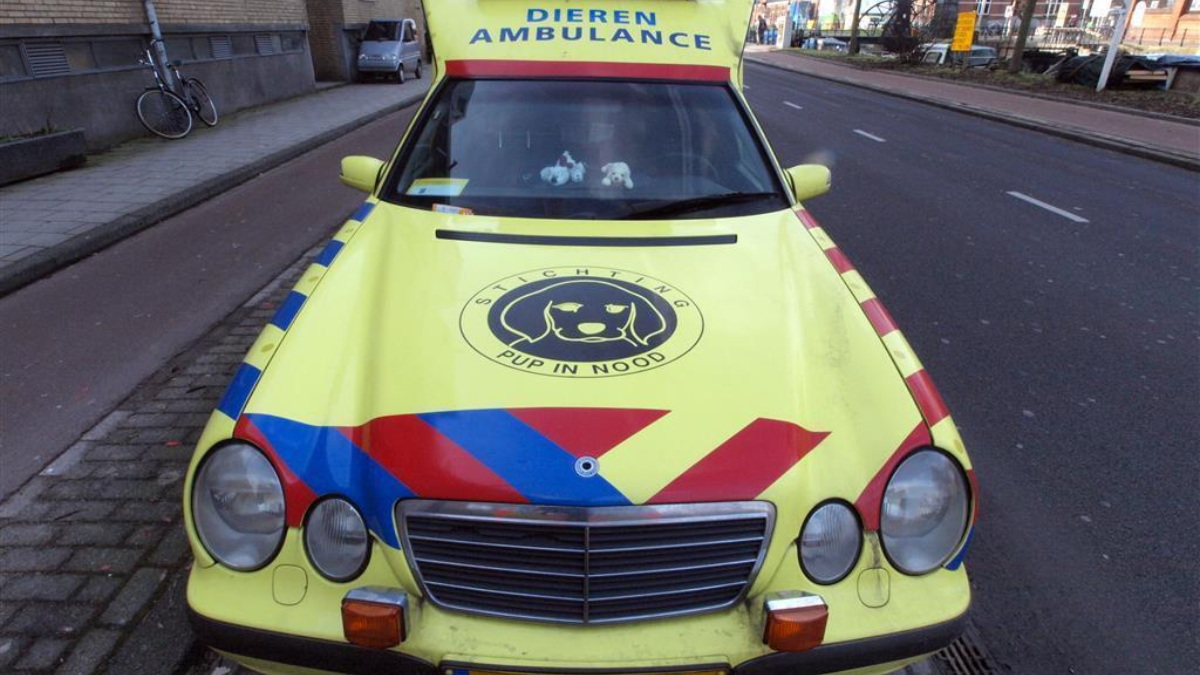 327772 Mercedes Dierenambulance Pupielance Amsterdam The Netherlands pic3