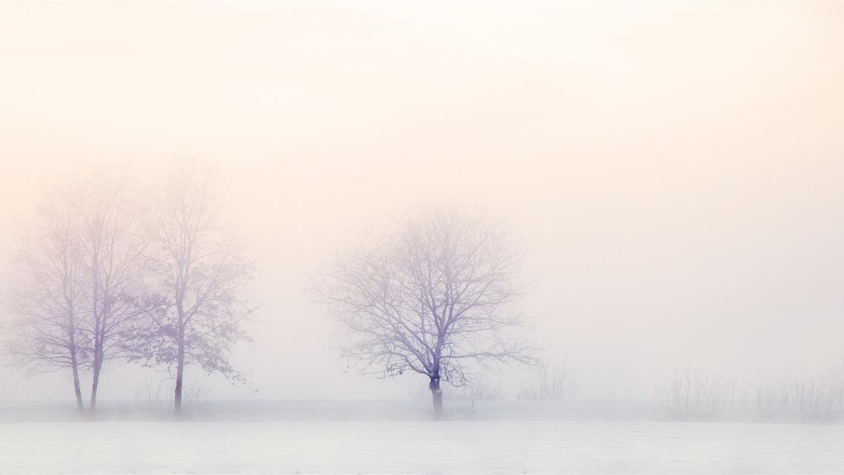 325534 winter landscape 2571788 1920