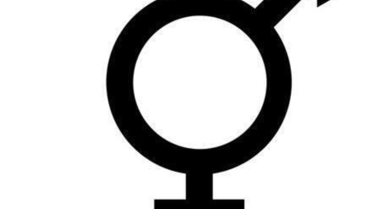 324948 Transgenders