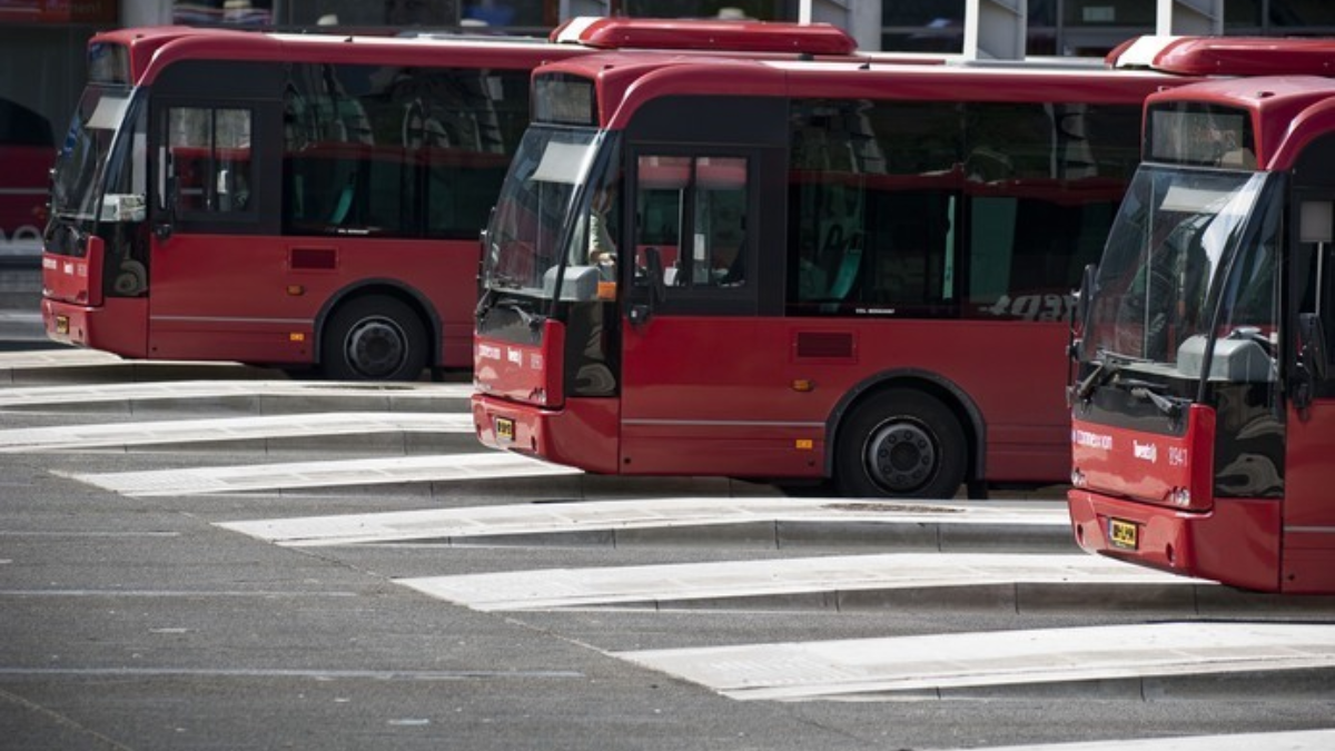 316181 bus 2