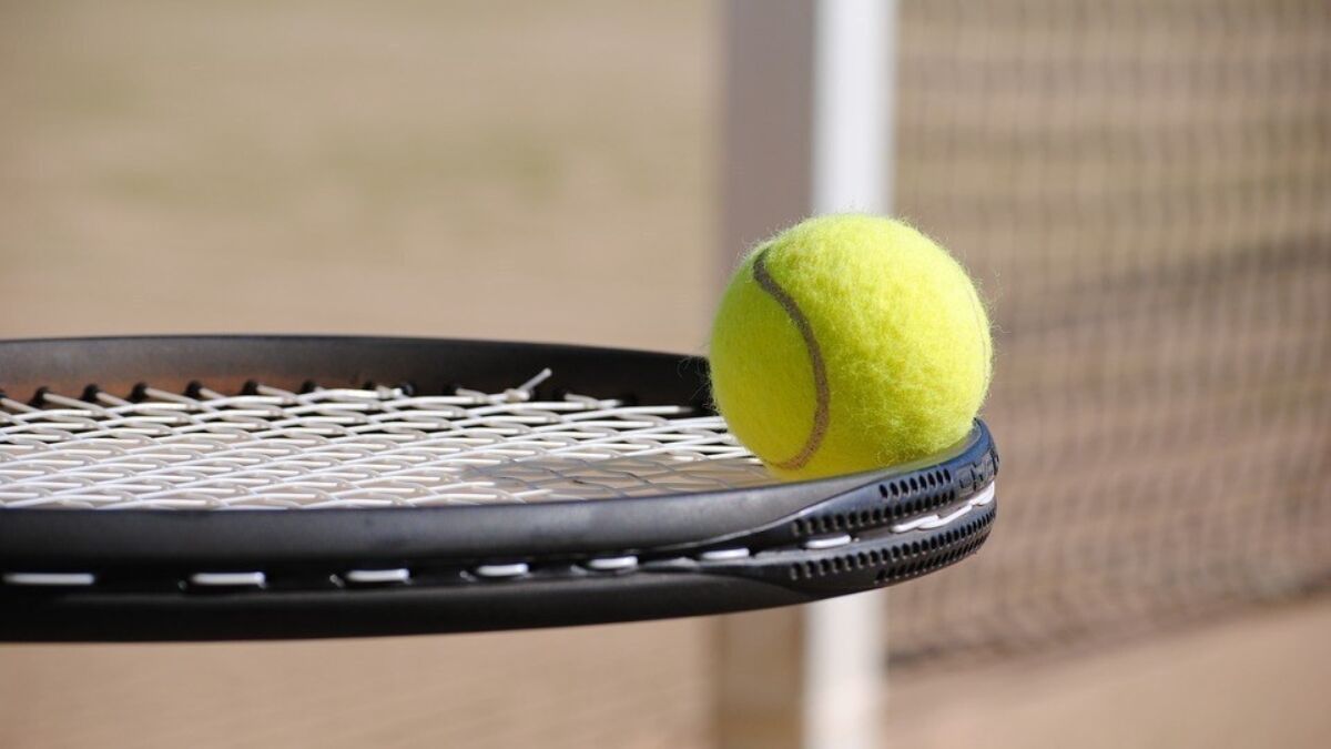 313152 tennis 3