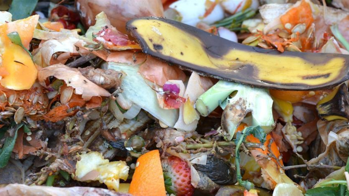 312568 compost 709020 1920