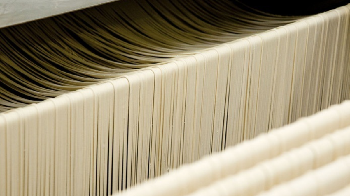 307584 noodles