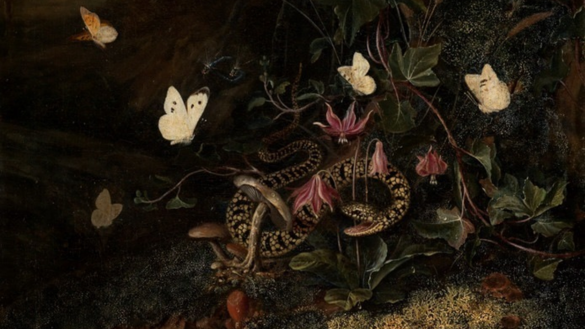 303588 rijksmuseum 5