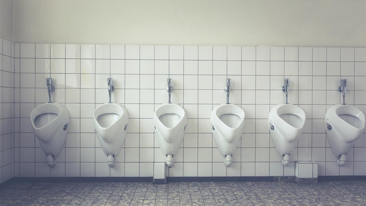 303498 toilet 1542514 1920