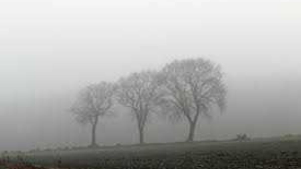 300064 mist 1