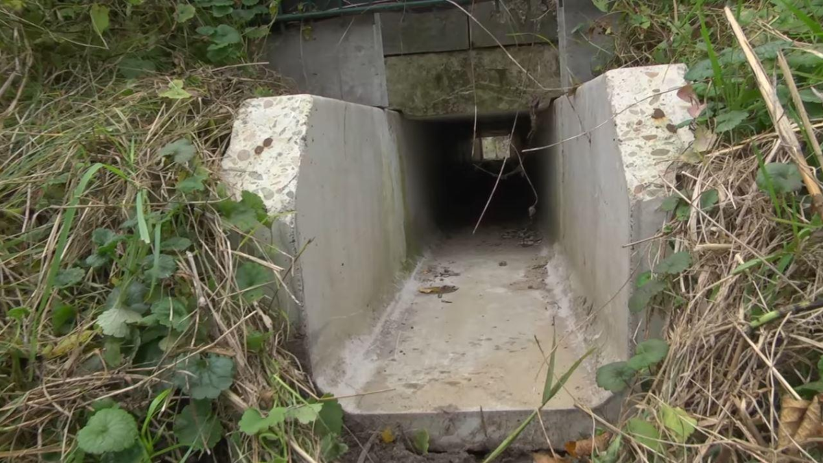 299033 Tunnel