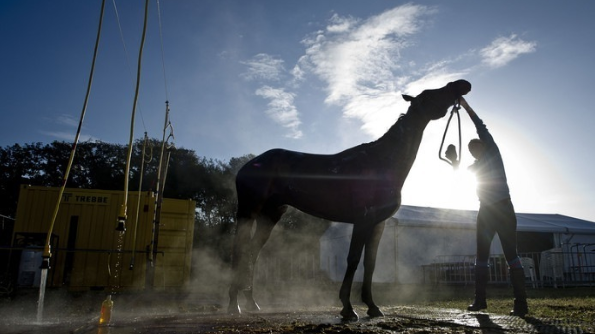 297552 download 42 1