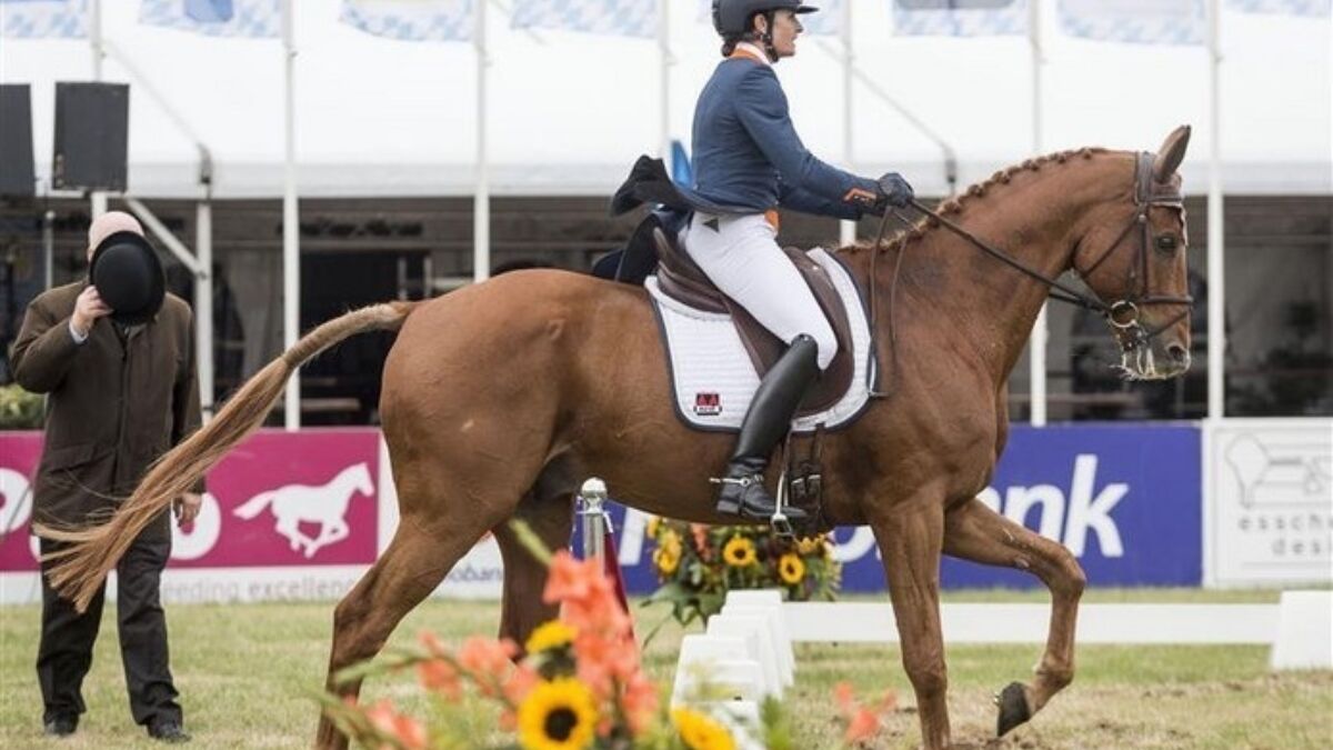297403 alice naber lozeman