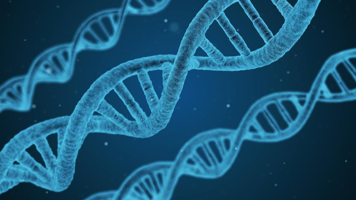 296568 dna 1811955 1920