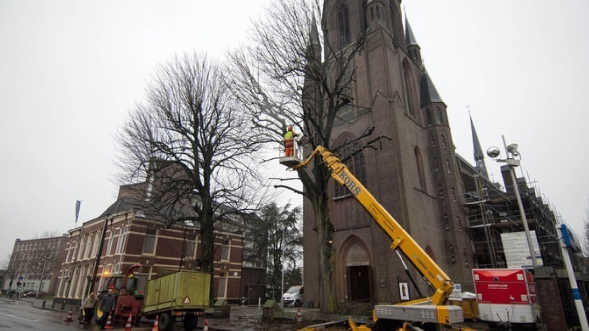 295066 download 15 1