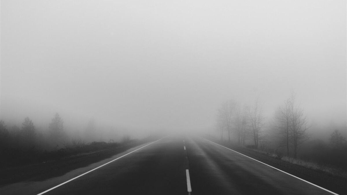 294692 road fog foggy mist