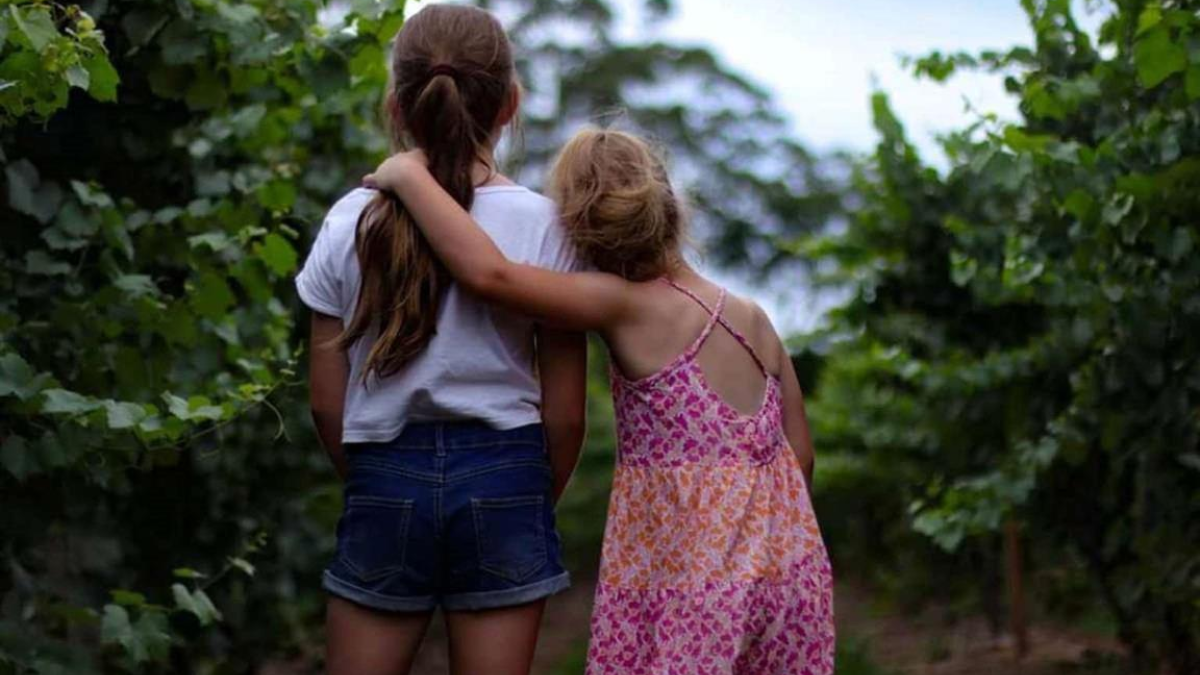 294225 sisters 1985647 1920