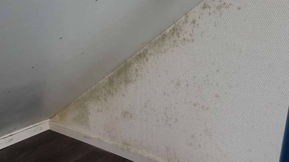 270111 foot huis velve linden