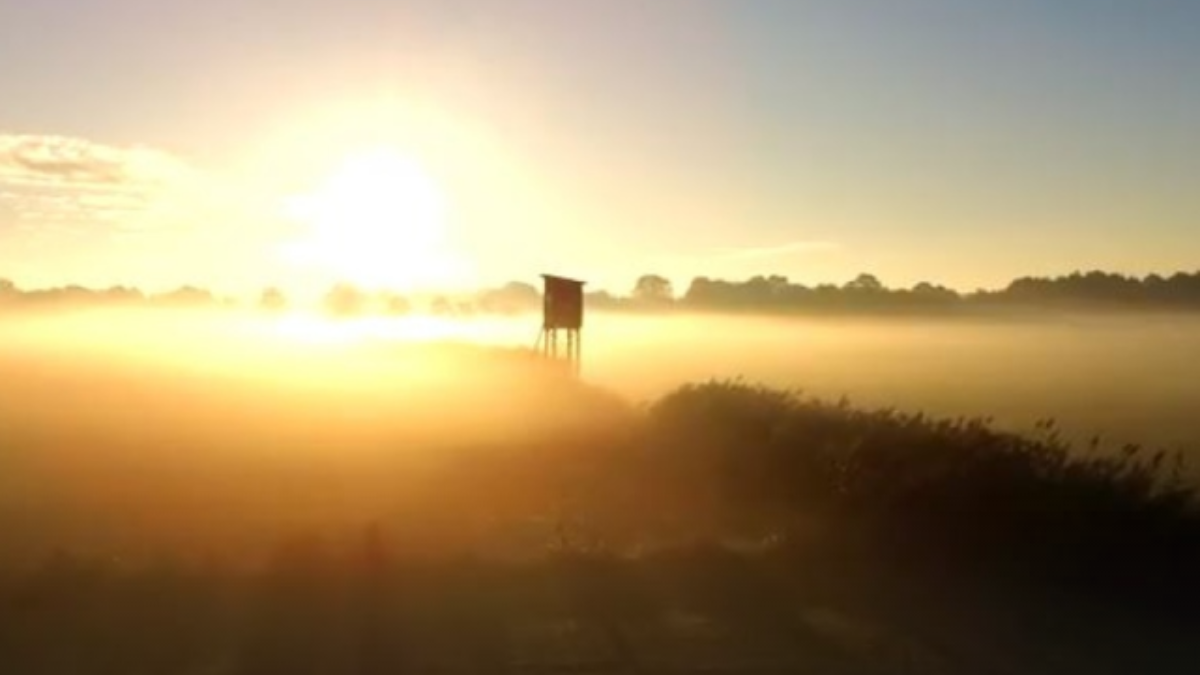 224260 Schermafbeelding 2016 10 10 om 210427