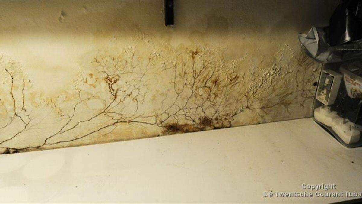 253968 image 32