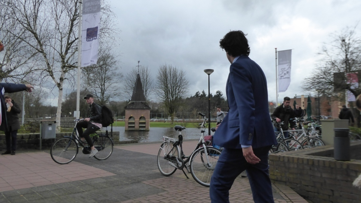 252266 image 6941830