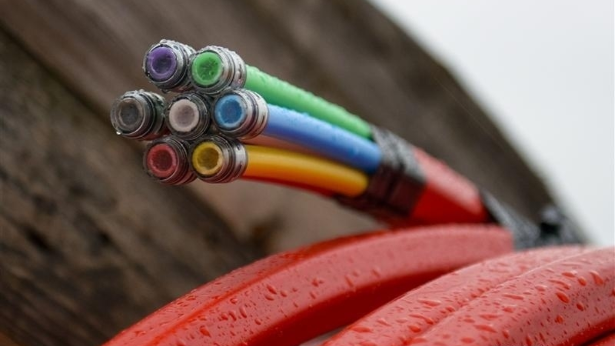 252131 image 6941269