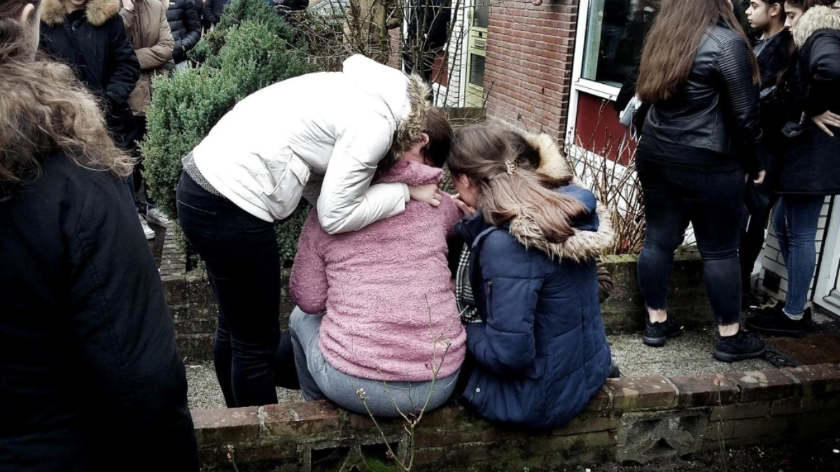 250056 image 6923211