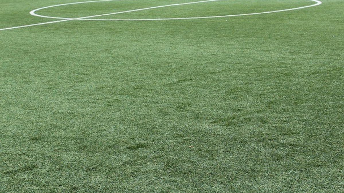248094 synthetic grass 1436614 640