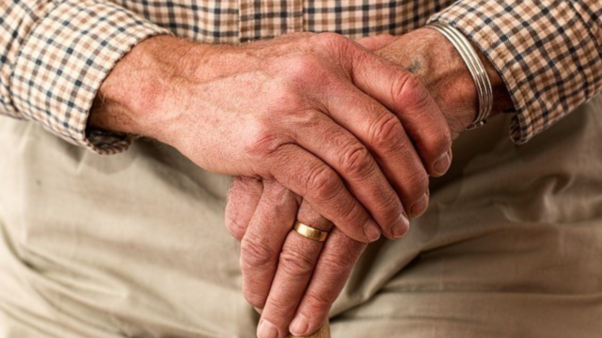 248049 hands 981400 640