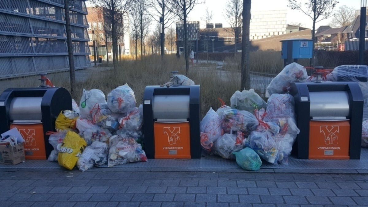 247226 image 6830356