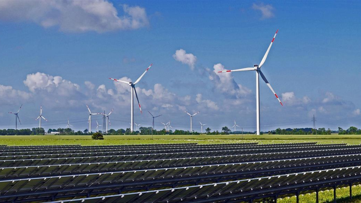 246189 windmolens 5