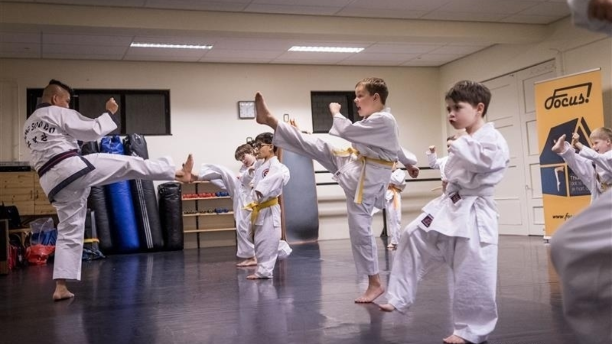 244270 image 6843345 2